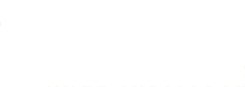 Texas Knee Institute logo in white